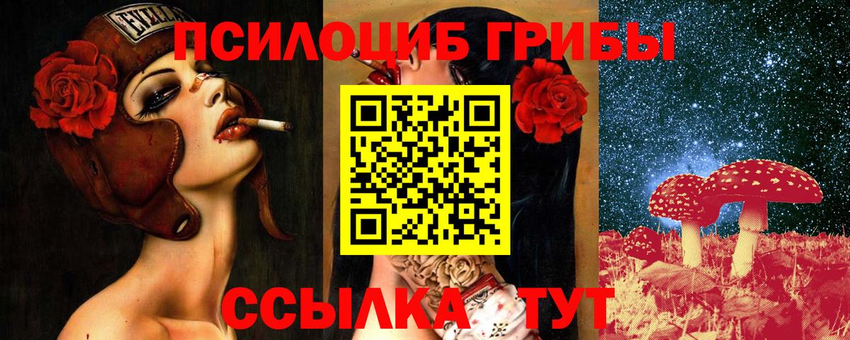Псилоцибиновые грибы мицелий  Вход с VPN  Новоуральск  Псилоцибиновые грибы MAGIC MUSHROOMS 